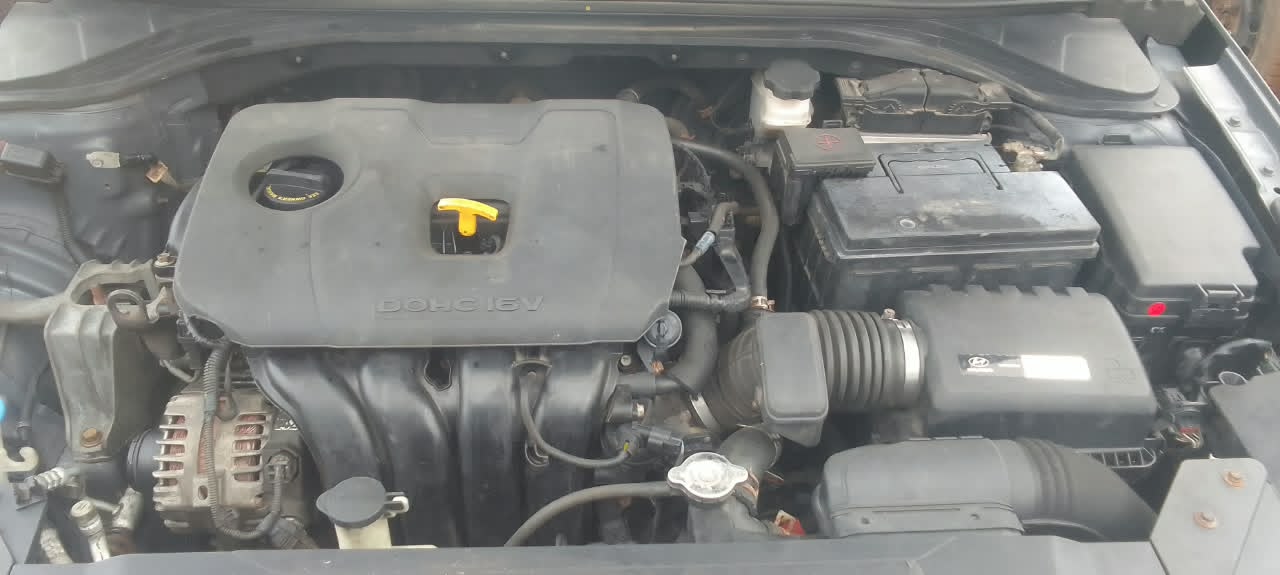 Image 7
